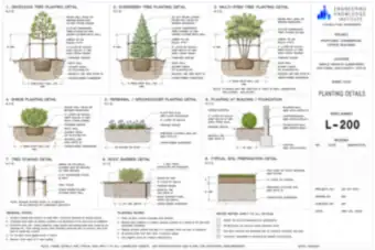 Planting Details (thumbnail)